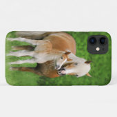 Haflinger Horse Cute Baby Foal Kiss Mum Pony Foto Case-Mate iPhone Case (Achterkant (horizontaal))