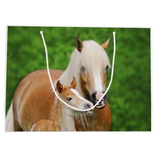 Haflinger Horse Cute Baby Foal Kiss Mum Pony Foto Groot Cadeauzakje (Achterkant)