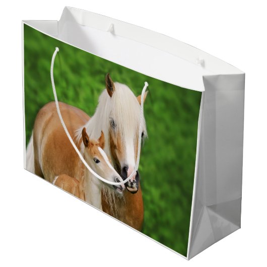 Haflinger Horse Cute Baby Foal Kiss Mum Pony Foto Groot Cadeauzakje (Achterkant Gekanteld)