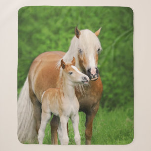 Haflinger Horse Cute Baby Foal Kiss Mum Pony Foto Sherpa Deken