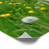 Haflinger Horse Cute Foal Flowerbed, Animal Photo Poster (Hoek)