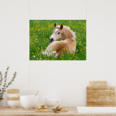 Haflinger Horse Cute Foal Flowerbed, Animal Photo Poster (Keuken)