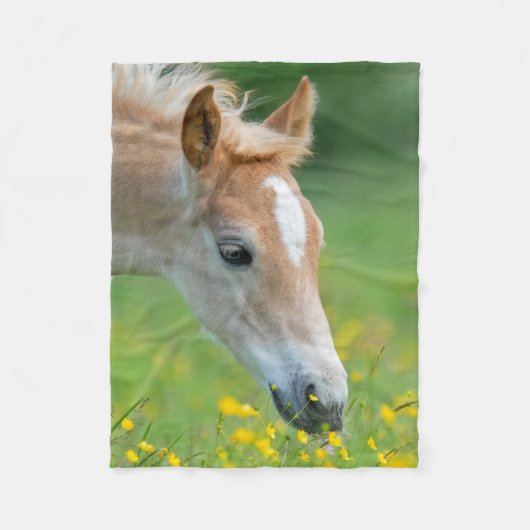 Haflinger Horse Cute Foal Flowers Portret - Fleece Deken (Voorkant)