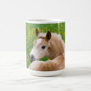 Haflinger Horse Cute Foal in een blote foto _ Koffiemok