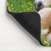 Haflinger Horse Cute Foal in een Flowerbed, Supply Muismat (Hoek)