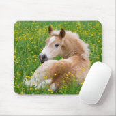 Haflinger Horse Cute Foal in een Flowerbed, Supply Muismat (Met muis)