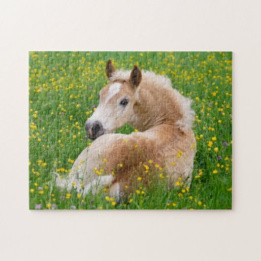 Haflinger Horse Cute Foal Rest in Flowerbed Jigzaa Legpuzzel (Horizontaal)