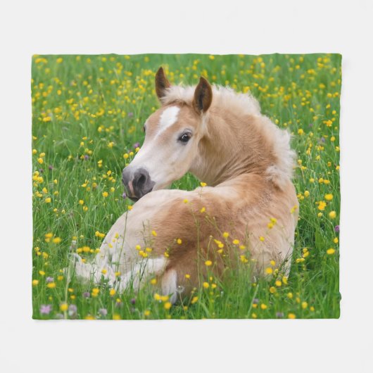 Haflinger Horse Cute Foal Resting Flowerbed, soft Fleece Deken (Voorkant (Horizontaal))