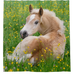 Haflinger Horse Cute Foal Resting Flowerbed - Tub Douchegordijn