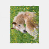 Haflinger Horse Cute Foal Resting in a Flowerbed Fleece Deken (Voorkant)