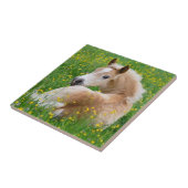 Haflinger Horse Cute Foal Rests Flowerbed Ceramic Tegeltje (Zijkant)