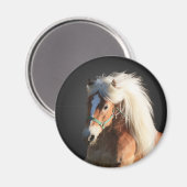 Haflinger Horse Magneet (Voorkant / Achterkant)