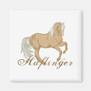 Haflinger Horse Magneet