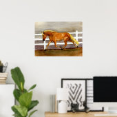 Haflinger Horse Portret Poster (Thuiskantoor)