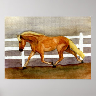 Haflinger Horse Portret Poster