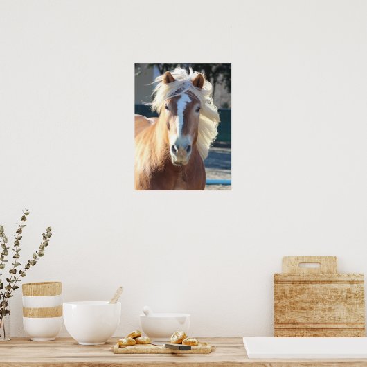 Haflinger Horse Poster (Keuken)