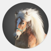 Haflinger Horse Ronde Sticker (Voorkant)