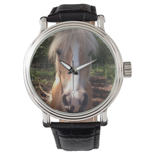 Haflinger Horse Watch Horloge (Voorkant)