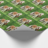 Haflinger Horses Cute Foal Kiss Mum Foto - Gift Cadeaupapier (Hoek)
