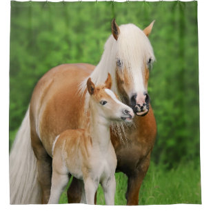 Haflinger Horses Cute Foal Kiss Mum Foto - Tub Douchegordijn