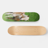 Haflinger Horses Cute Foal Kiss Mum Photo Funny Skateboard (Horizontaal)