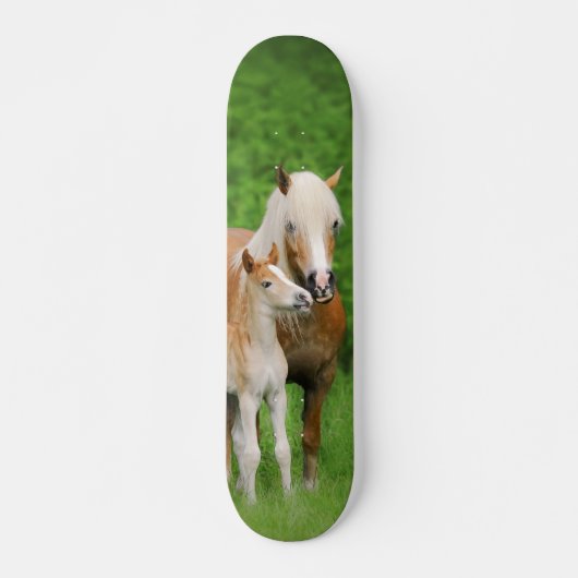 Haflinger Horses Cute Foal Kiss Mum Photo Funny Skateboard (Voorkant)