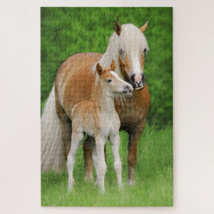 Haflinger Horses Cute Foal Kiss Mum Photo - Game Legpuzzel