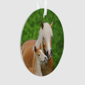 Haflinger Horses Cute Foal Kiss Mum Photo - Ornament (voorkant)
