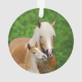 Haflinger Horses Cute Foal Kiss Mum Photo - Ornament (achterkant)