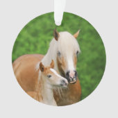 Haflinger Horses Cute Foal Kiss Mum Photo - Ornament (voorkant)