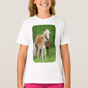 Haflinger Horses Cute Foal Kiss Mum Photo - Raglan T-shirt