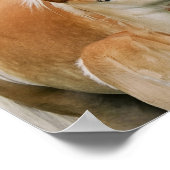 Haflinger Horses Cute Foal Kiss Mum Photo Square Poster (Hoek)