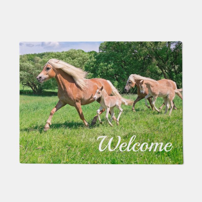 Haflinger Horses Cute Foals die funny Photo gebrui Deurmat (Voorkant)