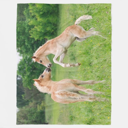 Haflinger Horses Cute Foals fokdier, duizelig Fleece Deken (Voorkant)