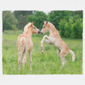 Haflinger Horses Cute Foals fokdier, duizelig Fleece Deken (Voorkant (Horizontaal))