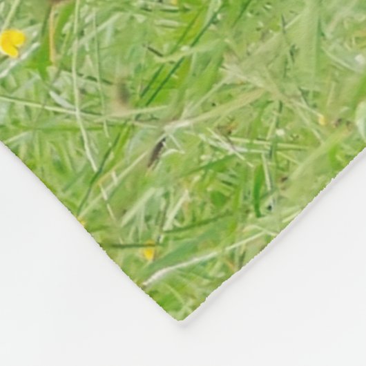 Haflinger Horses Cute Foals fokdier, duizelig Fleece Deken (Hoek)