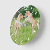 Haflinger Horses Cute Foals kweekvijver, wijzerpla Ronde Klok (Hoek)