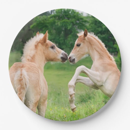 Haflinger Horses Cute Foals Rearing, Happy Party Papieren Bordje (Voorkant)