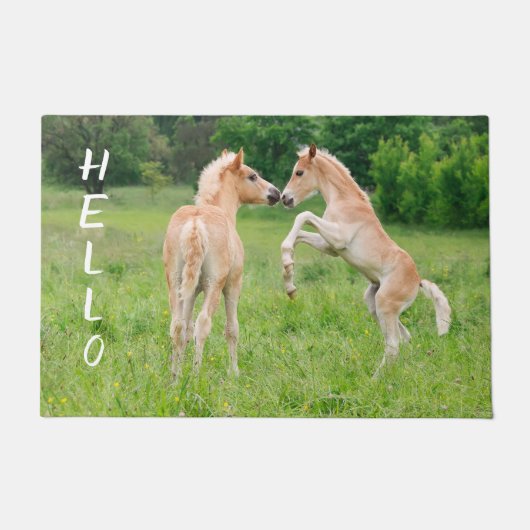 Haflinger Horses Cute Foals Vrienden die Foto make Deurmat (Voorkant)
