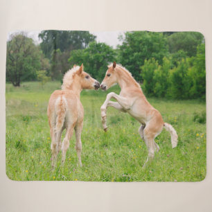 Haflinger Horses Cute Foals Vrienden die Foto make Sherpa Deken