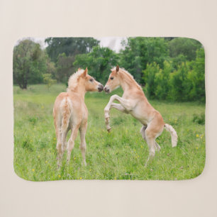 Haflinger Horses Cute Foals Vrienden die Foto make Sherpa Deken