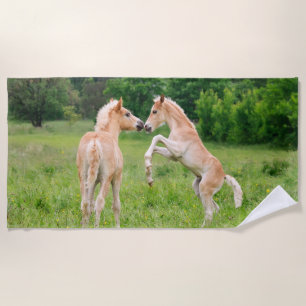 Haflinger Horses Cute Foals Vrienden die Foto make Strandlaken