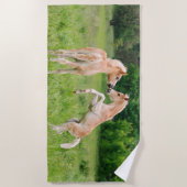 Haflinger Horses Cute Foals Vrienden die Foto make Strandlaken (Voorkant)