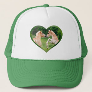 Haflinger Horses Cute Funny Foals Friends Heart Trucker Pet