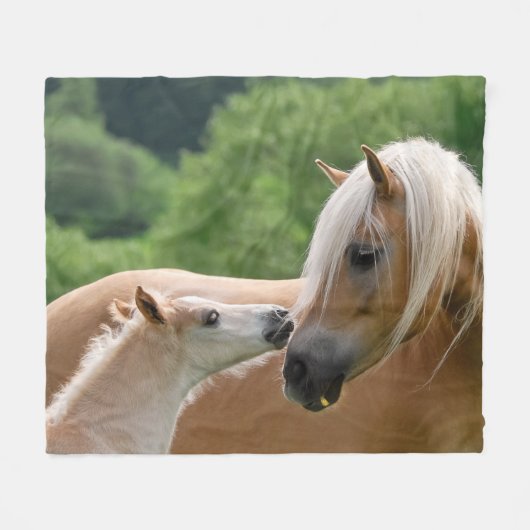 Haflinger Horses Foal and Mare cuddling, comfort Fleece Deken (Voorkant (Horizontaal))