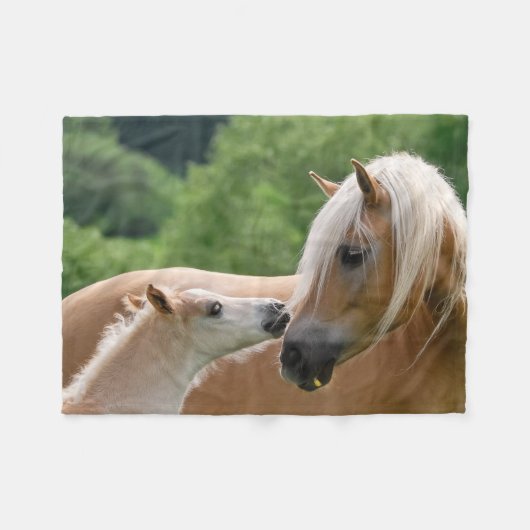 Haflinger Horses Foal and Mare cuddling, comfy Fleece Deken (Voorkant (Horizontaal))