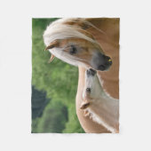 Haflinger Horses Foal and Mare cuddling, comfy Fleece Deken (Voorkant)