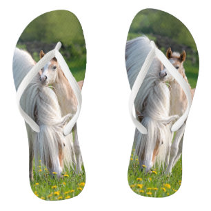 Haflinger Horses Schattige Baby veulen met mama -  Teenslippers