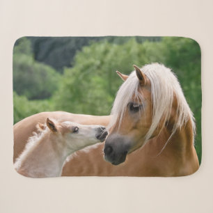 Haflinger Leuke Paarden Veulen en Mam Knuffelen Ku Sherpa Deken