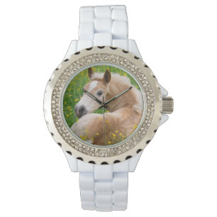 Haflinger Paard Leuk Veulen in een Bloembed voor m Horloge